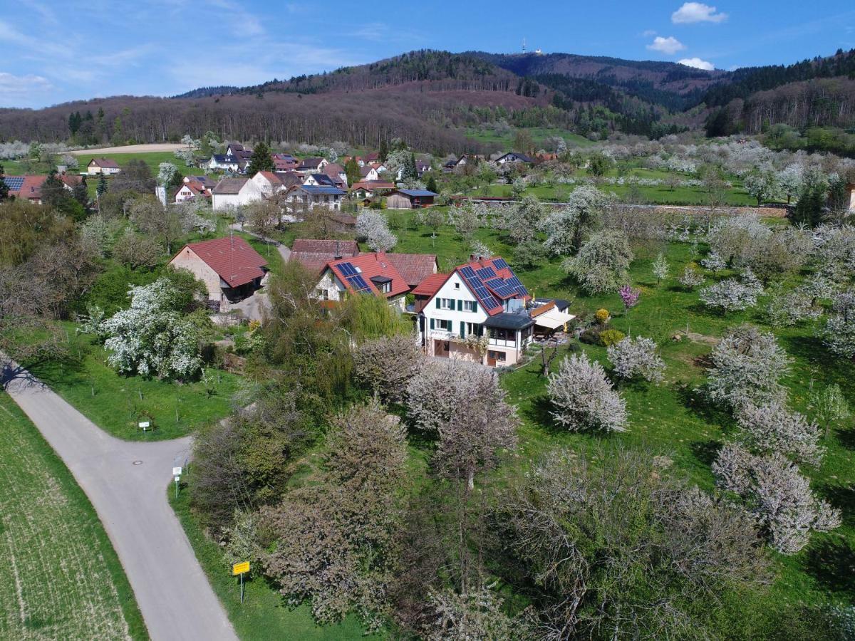 Haus Am Blauenbach Schliengen Exterior foto